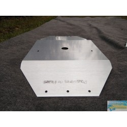 Pack Plaque de protection et anneaux + Vérins de porte (Lot de 2) - Renault 4L