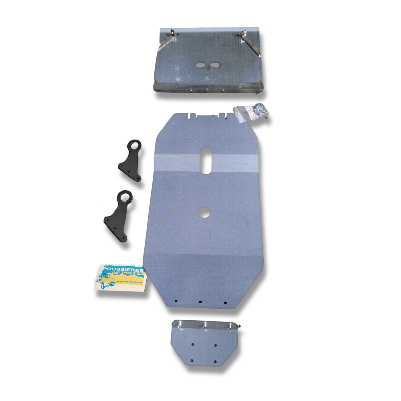 Pack Plaque de protection et anneaux + Vérins de porte (Lot de 2) - Renault 4L